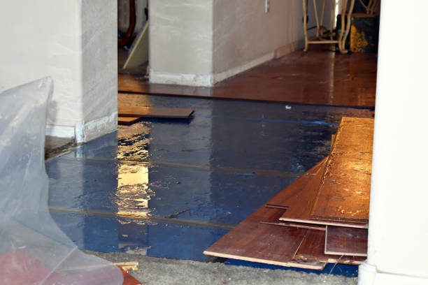 Professional Basement Flood Cleanup technician working in Riverton, UT